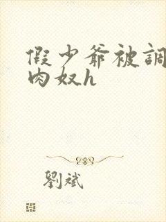 假少爷被调教成肉奴h