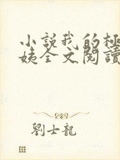 小说我的极品小姨全文阅读封面