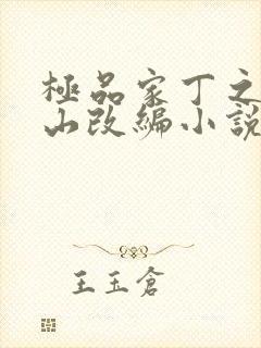 极品家丁之董青山改编小说封面