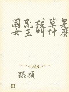 国民校草是女生女主叫什么
