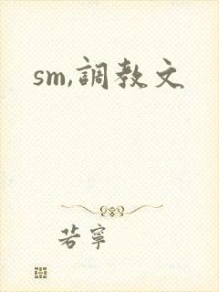 sm,调教文
