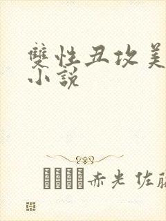 双性丑攻美人受小说封面