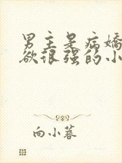 男主是病娇控制欲很强的小说