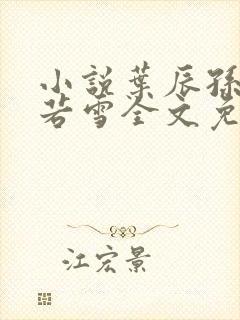 小说叶辰孙怡夏若雪全文免费阅读