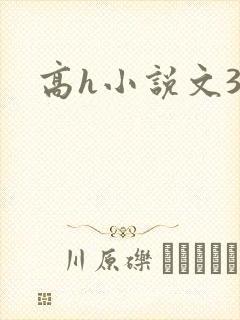 高h小说文3p