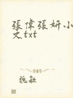 张伟张妍小说全文txt封面