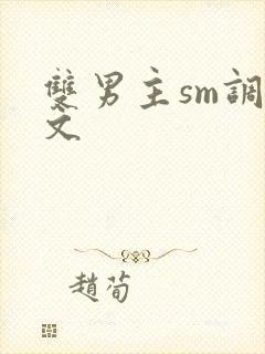双男主sm调教文