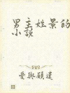 男主姓景的现代小说