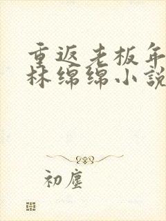 重返老板年少时林绵绵小说