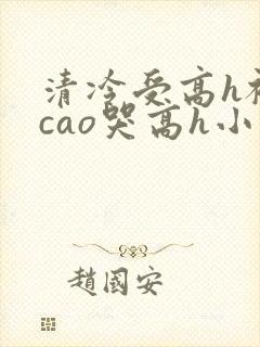 清冷受高h被强cao哭高h小说封面