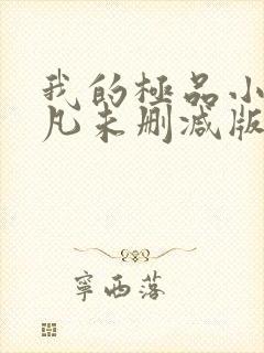 我的极品小姨叶凡未删减版