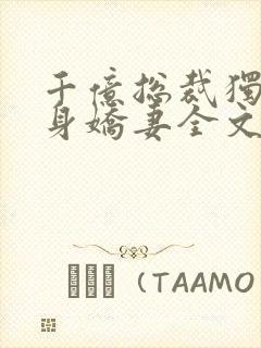 千亿总裁独宠替身娇妻全文版