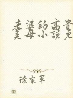 老婆的高贵总裁美母小说免费阅读下封面