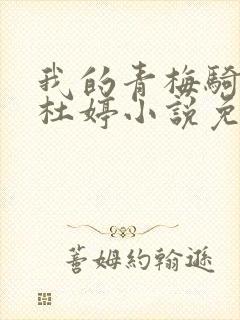 我的青梅骑竹马杜婷小说免费阅读