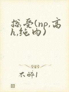 总受(np,高h,纯肉)