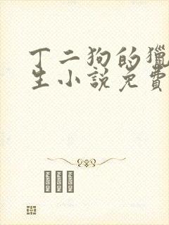 丁二狗的猎艳人生小说免费全文下载