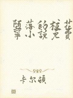 堕落的校花赵诗宁小说免费阅读