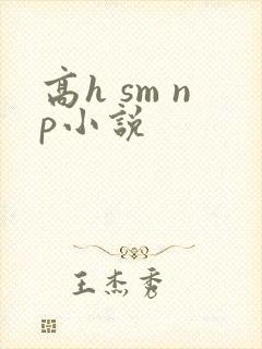 高h sm np小说