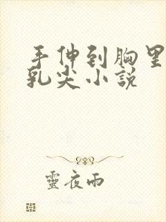 手伸到胸里揉她乳尖小说