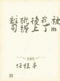 离职后我被前上司缠上了m