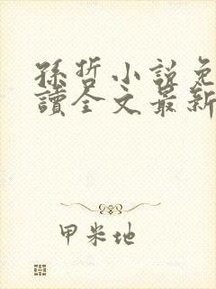 孙哲小说免费阅读全文最新章节下载封面