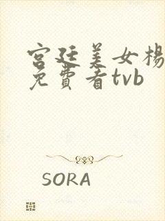 宫廷美女杨贵妃免费看tvb