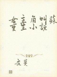 女主角叫苏婉的重生小说