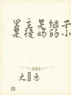 男主是继子女主是后妈的小说