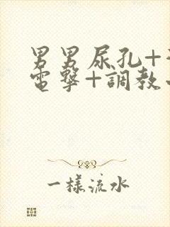 男男尿孔+灌+电击+调教小说