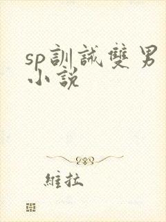 sp训诫双男主小说