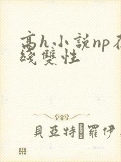 高h小说np在线双性
