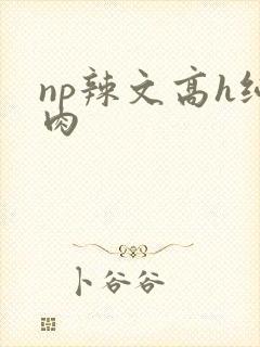 np辣文高h纯肉封面