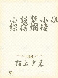 小说楚小姐在恋综摆烂后