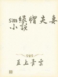 sm绿帽夫妻奴小说