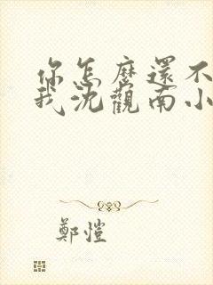 你怎么还不来哄我沈观南小说免费阅读