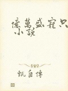 亿万盛宠只为你 小说