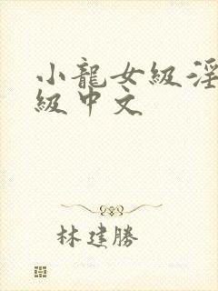 小龙女级淫片a级中文