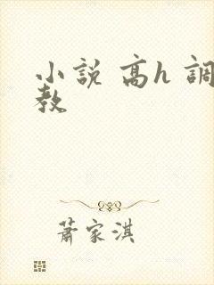 小说 高h 调教封面