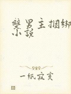 双男主捆绑调教小说