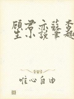 顾君亦苏杳国防生小说笔趣阁免费