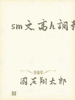 sm文高h调教封面