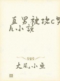 直男被攻c哭高h小说