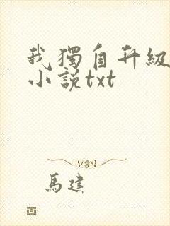 我独自升级原著小说txt
