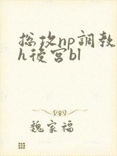 总攻np调教高h后宫bl