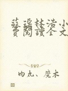 苏瑶林浩小说免费阅读全文最新章节封面