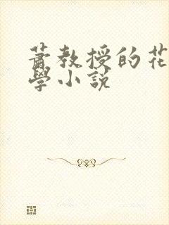 萧教授的花式教学小说