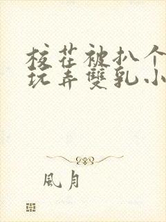 校花被扒个精光玩弄双乳小说