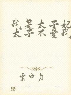 我是太子妃,但太子不爱我