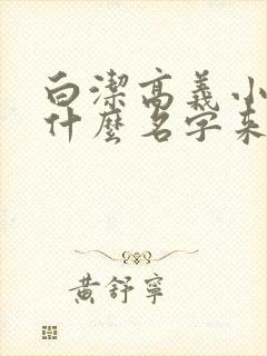 白洁高义小说叫什么名字来着