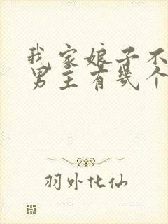 我家娘子不对劲男主有几个女人封面